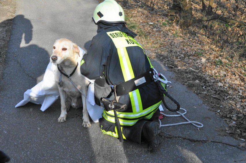 Hund und Frauchen im Eis eingebrochen Koeln Dellbrueck Hoehenfelder See P15.jpg